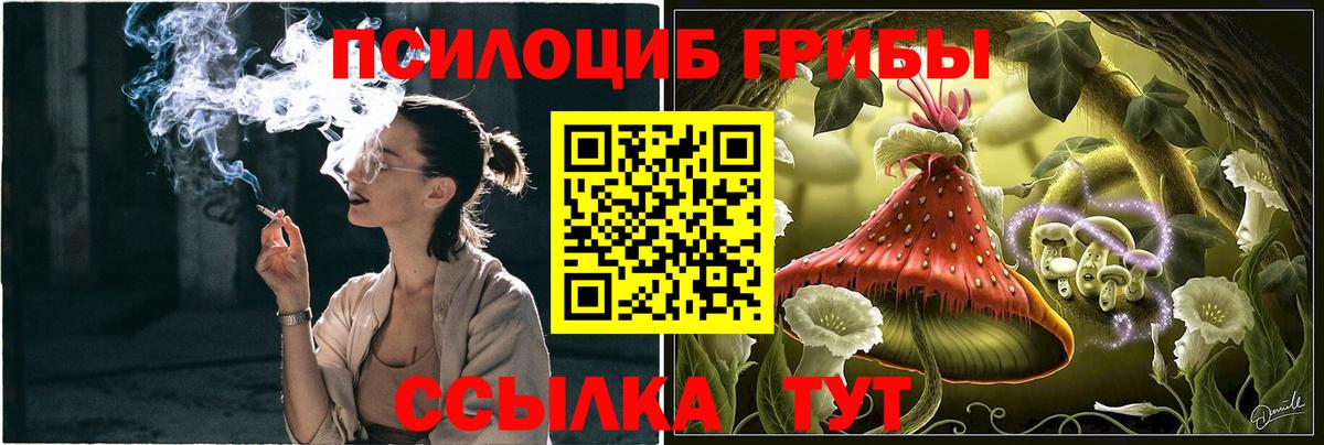 Галлюциногенные грибы Psilocybine cubensis  Вход с VPN  Усолье-Сибирское  Псилоцибиновые грибы Psilocybe 